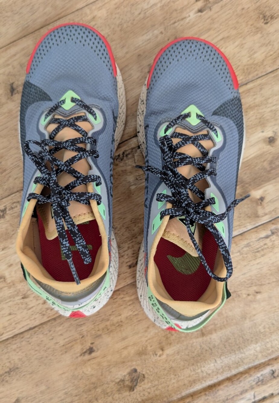 Nike Pegasus Trail GTX Goretex